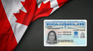 BC ID Card A Complete 2024 Guide